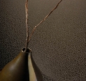 Sienu dangos, tapetai